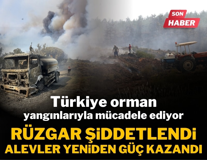 Türkiye'deki orman yangınlarında son durum