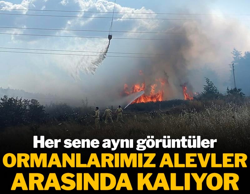 Her sene aynı görüntüler: Ormanlarımız alevler arasında kalıyor