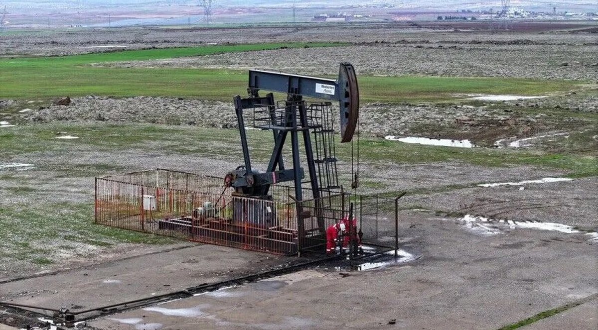 İki ilde 5 yıl boyunca petrol aranacak: TPAO adres verdi