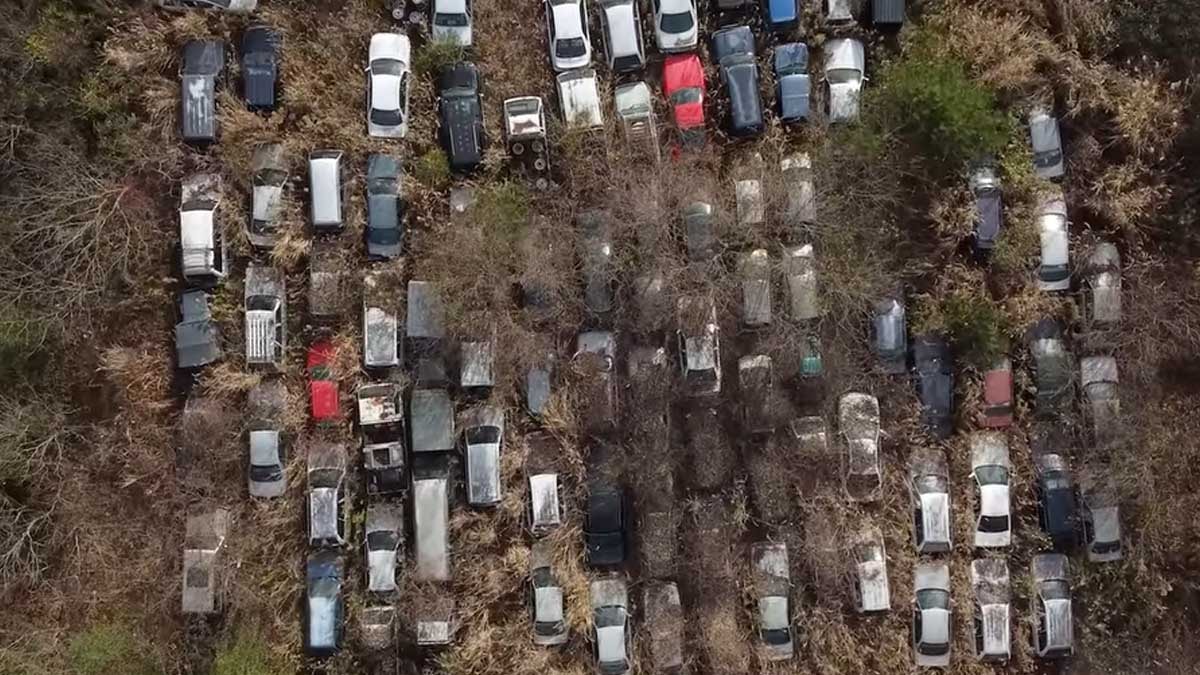 Milyonluk araçlar 15 yıldır kuzu kuzu yatıyor: Çürüyene kadar orada kalmak zorundalar