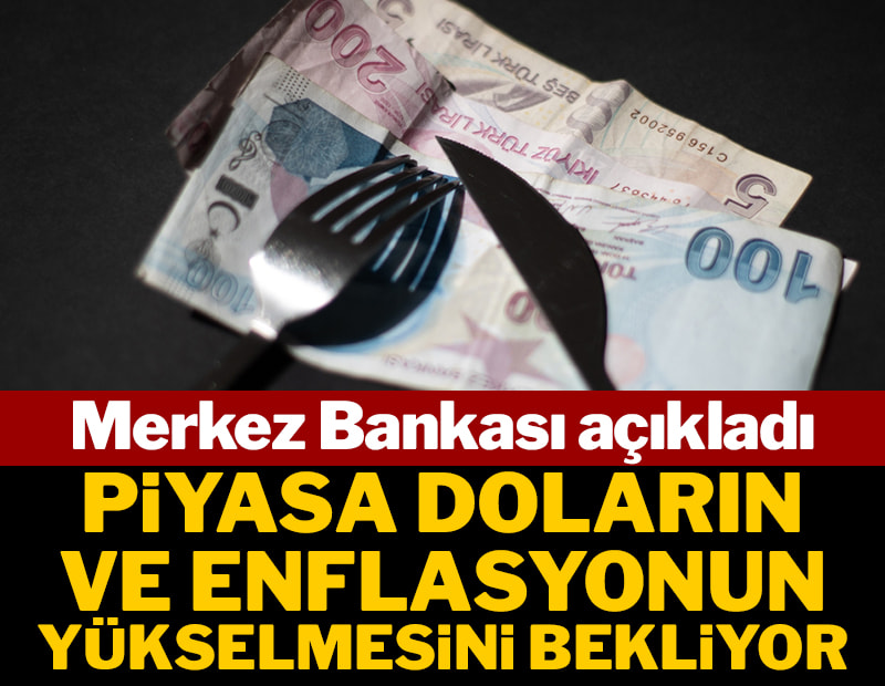 Merkez Bankası açıkladı: Piyasa doların ve enflasyonun yükselmesini bekliyor
