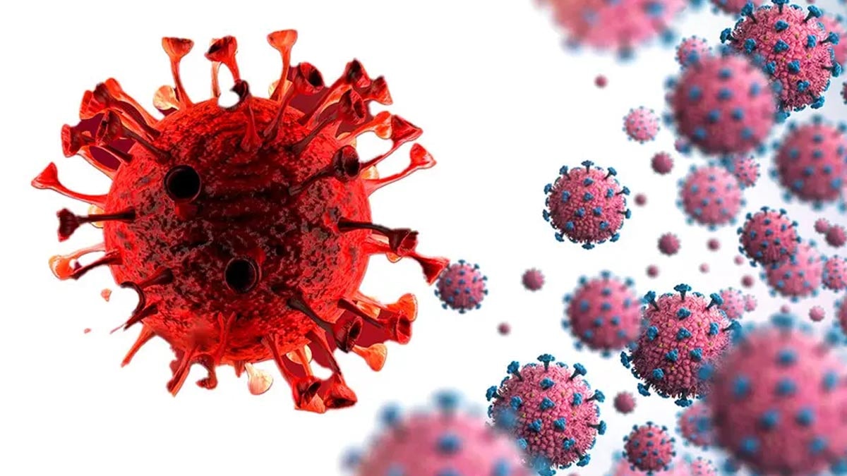 7 bin kişi bu hastalığa yakalandı: Salgının kaynağı bilinmiyor