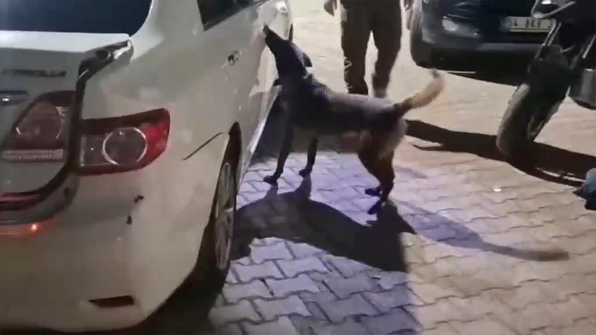 Sakarya'da uyuşturucu çetesine operasyonu