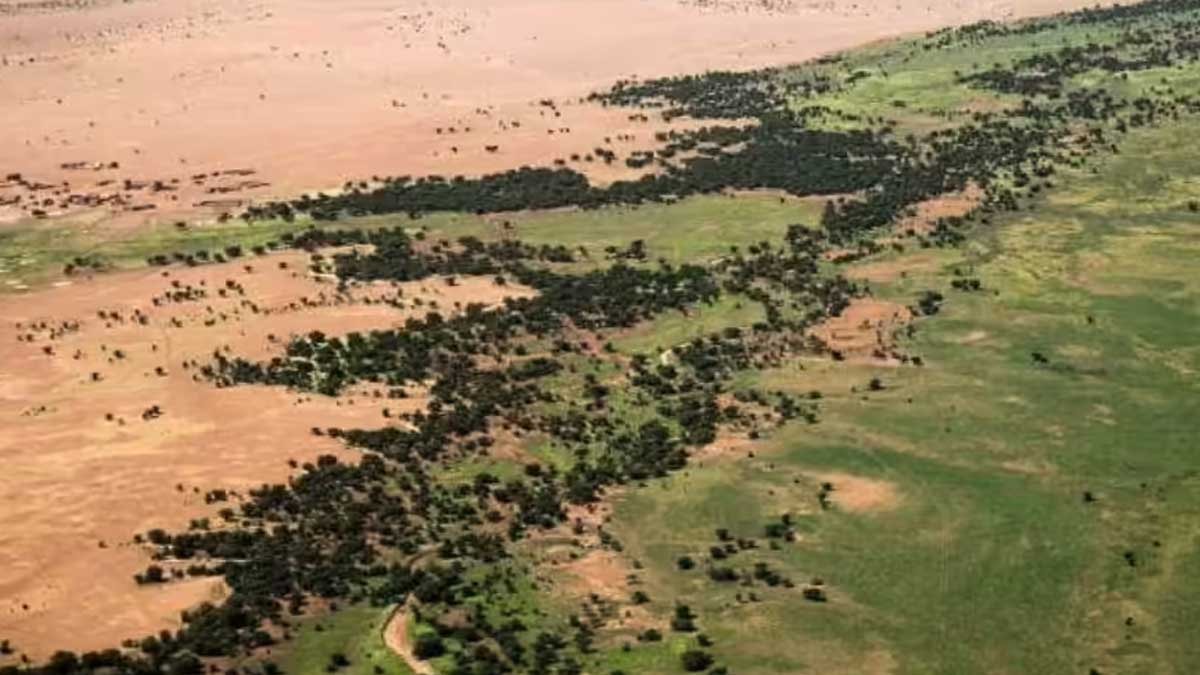 8.000 kilometrelik 'Ağaç Duvar' geliyor