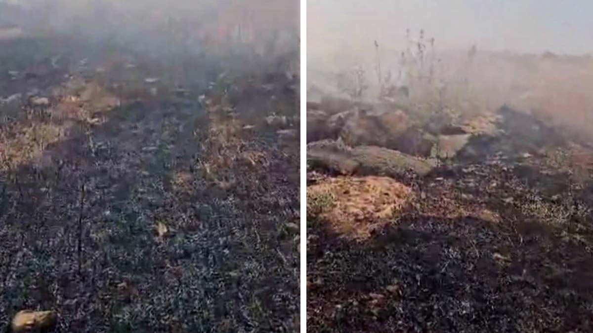 Şırnak’ta Ziraat Fakültesi’nin bahçesinde yangın