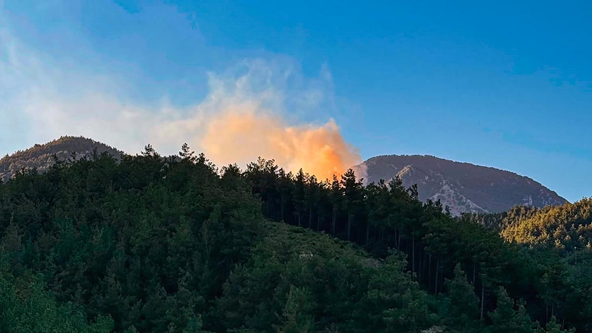 Adana’da orman yangınına havadan ve karadan müdahale