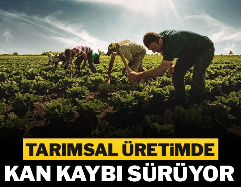 Üretimdeki alarmı TÜİK de gizleyemedi