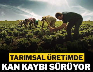 Üretimdeki alarmı TÜİK de gizleyemedi