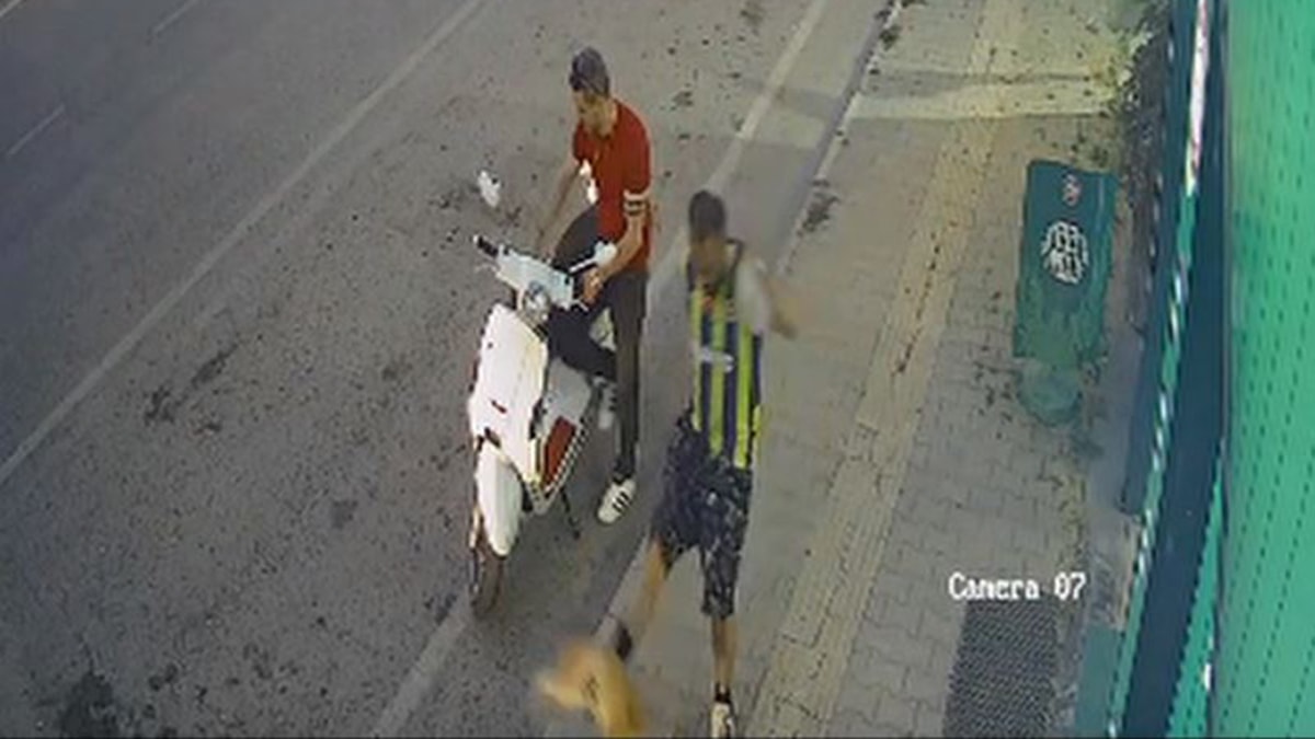 Kediye tekme atan kişiye vatandaşlardan tepki