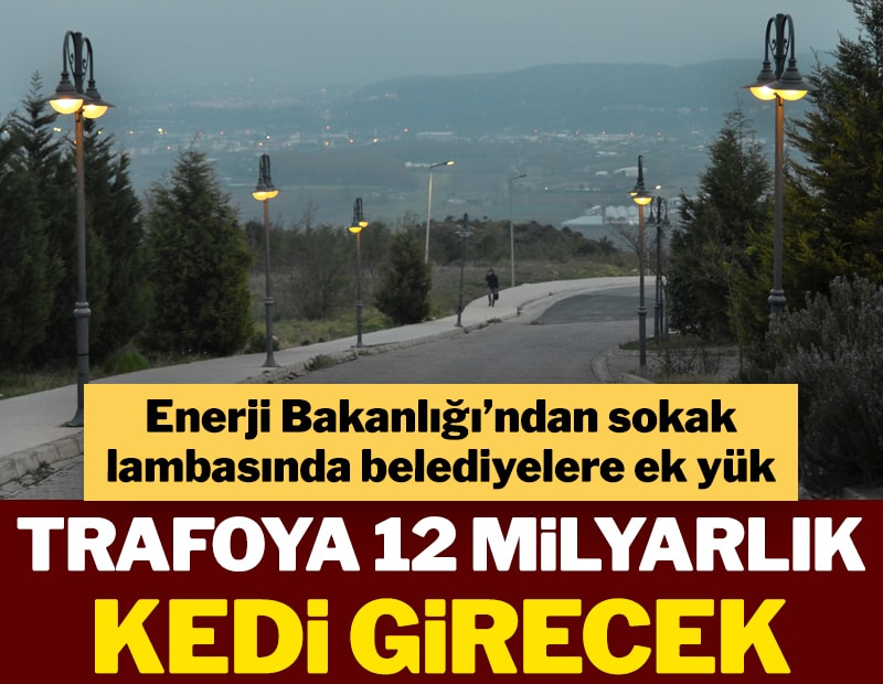 Trafoya 12 milyarlık kedi girecek