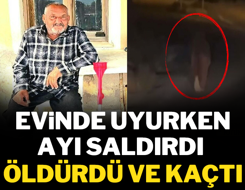 Evinde uyurken ayı saldırdı: Öldürdü ve kaçtı!
