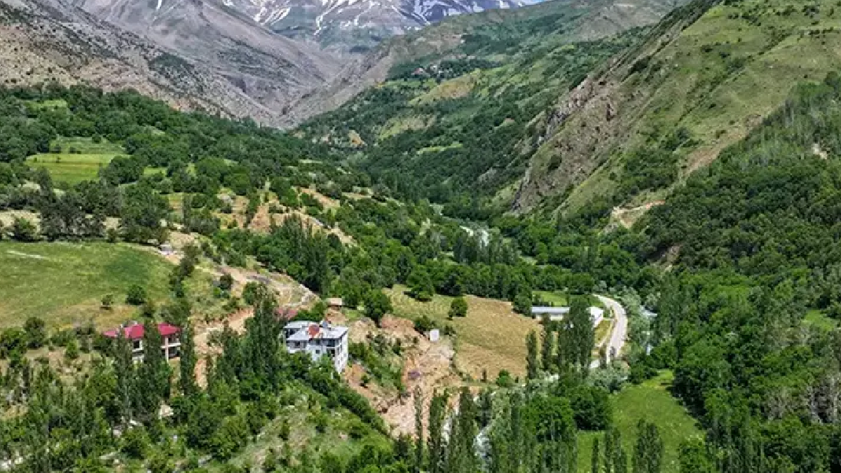 Kimsenin cesaret edemediğini yaptı: Tek başına yılda 2 ton üretiyor