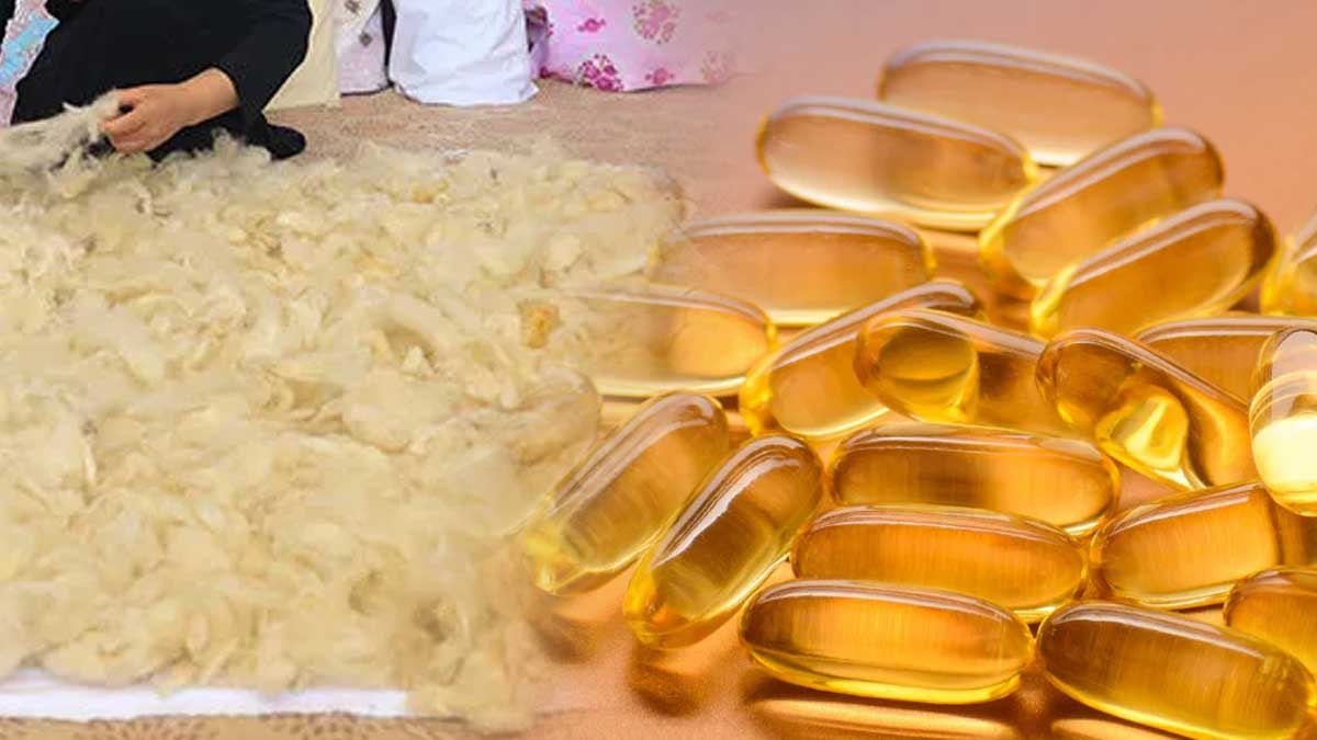 Bu vitamin koyun yününden yapılıyormuş