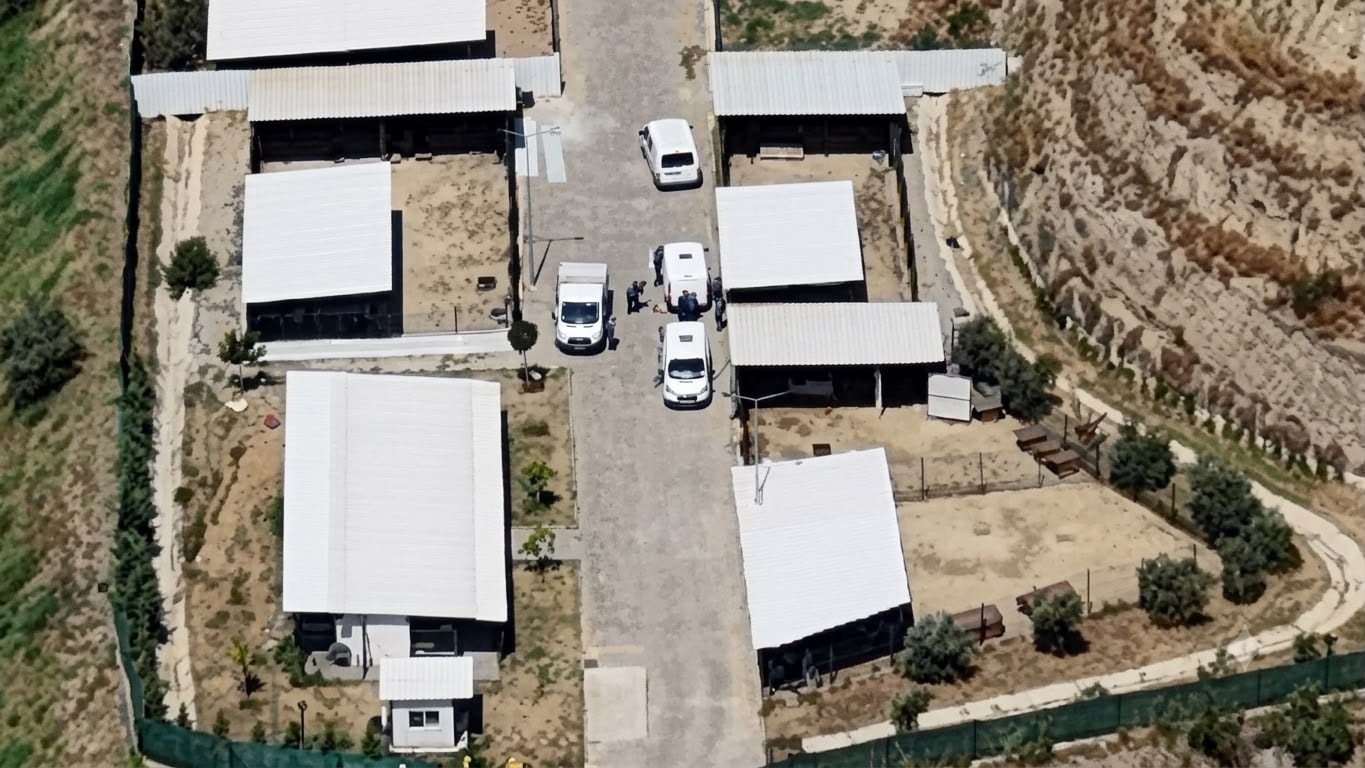 Aydın'da barınak değil ölüm kampı iddiası: Binlerce hayvan nerede?