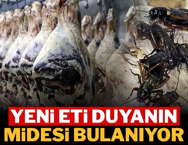 Sofraların yeni eti bu böcek olacak: Una çevirdiler, protein oranı şaşırttı