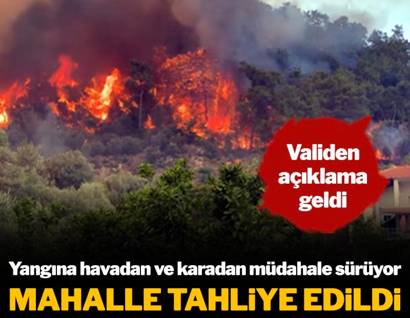 Yangına havadan ve karadan müdahale sürüyor! Mahalle tahliye edildi, Validen açıklama geldi