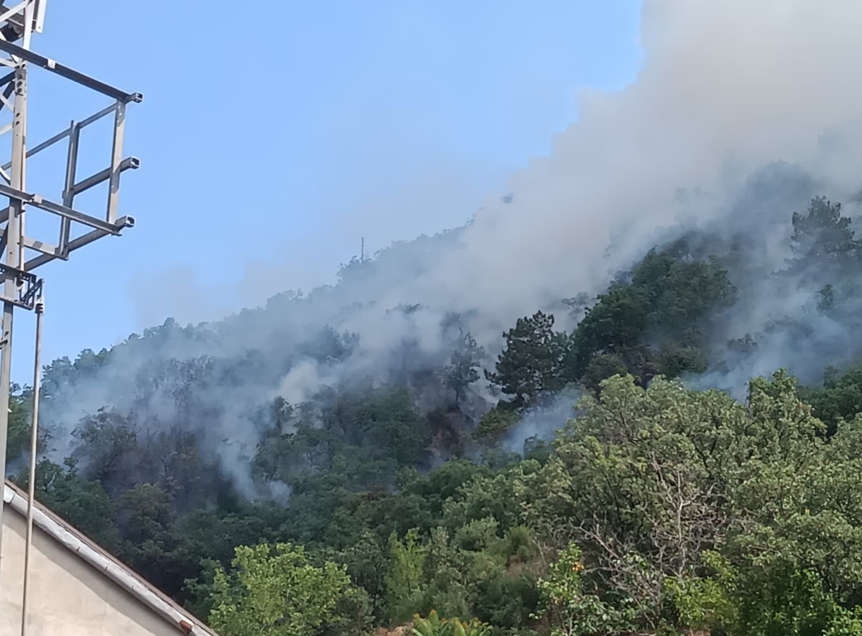 Kastamonu'da çıkan orman yangınına müdahale ediliyor