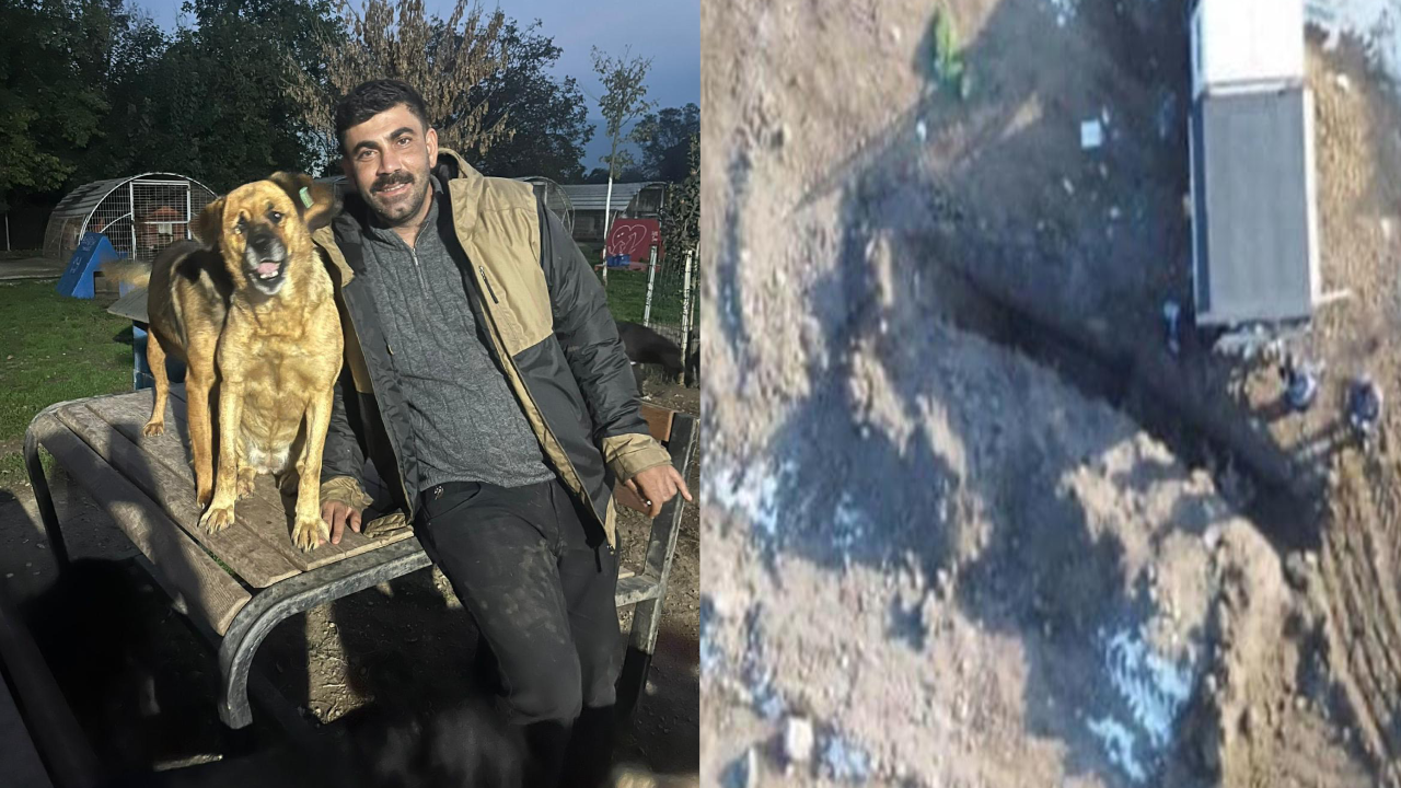 MHP’li belediyenin köpek katliamını ifşa edenlere dava, belediyeye takipsizlik