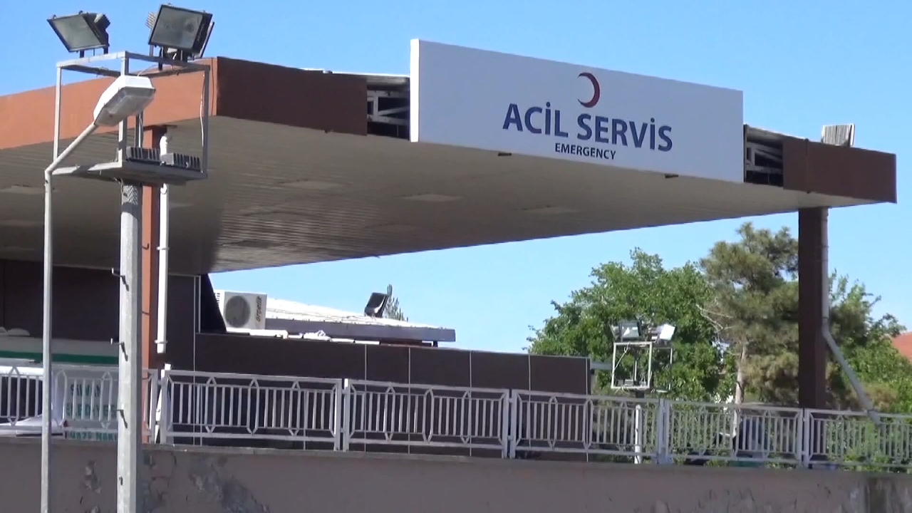Ağabey kardeşini katletti