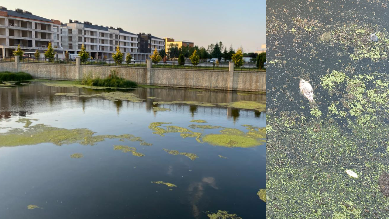 Akarçay alarm veriyor: AKP’li belediyenin "temizlik" söylemi görüntülere yansımadı