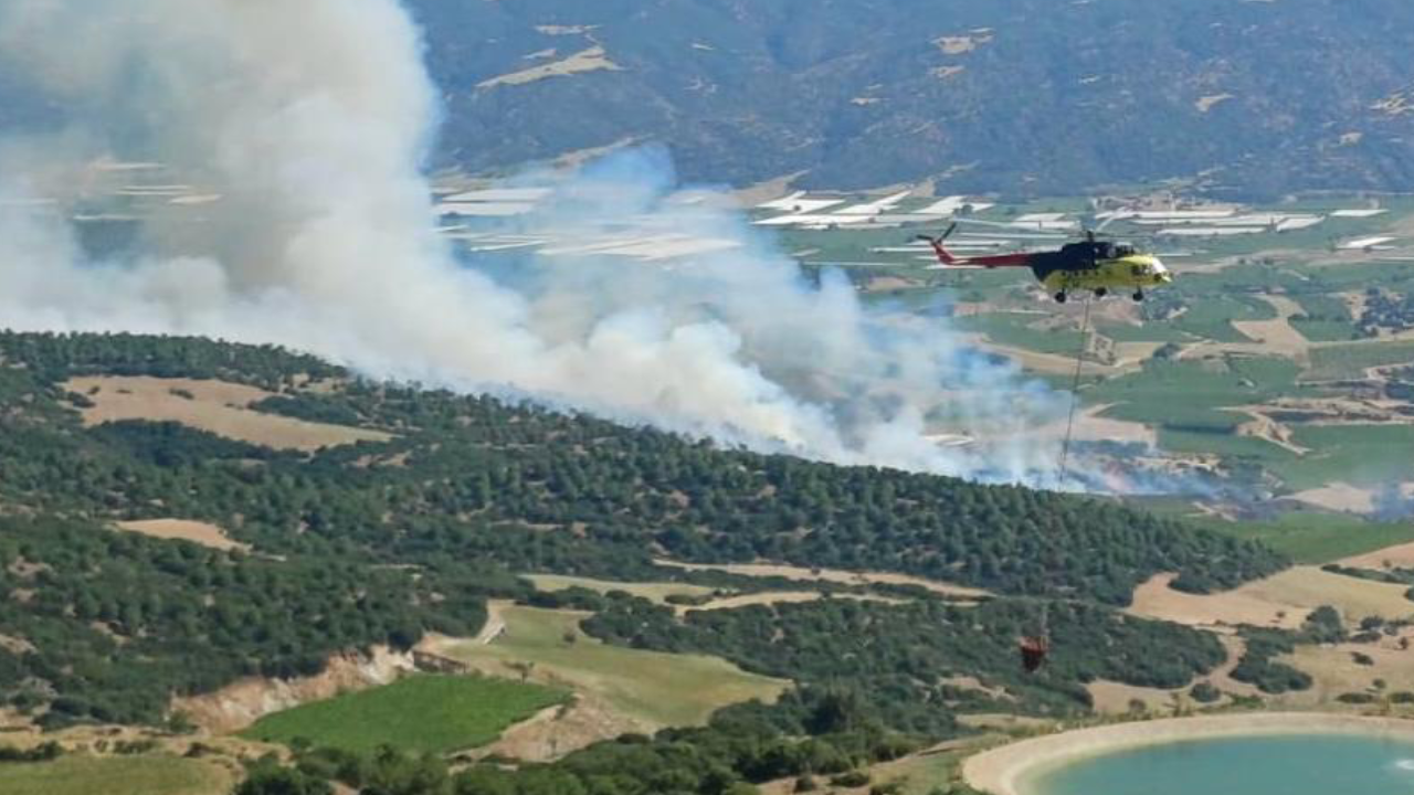 Manisa ve Muğla'daki orman yangınları kontrol altında