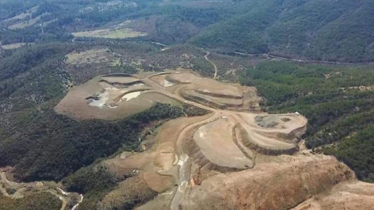23 bin ağacın kesileceği projeye yargı freni: Akçansa'nın ÇED'i iptal edildi