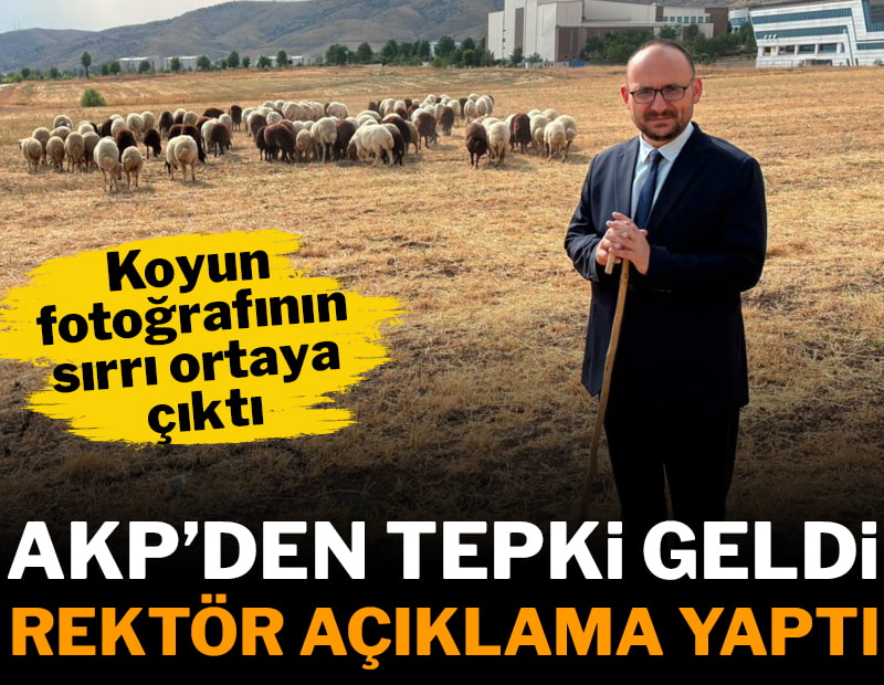 AKP’den tepki geldi, rektör açıklama yaptı! Koyun fotoğrafının sırrı ortaya çıktı