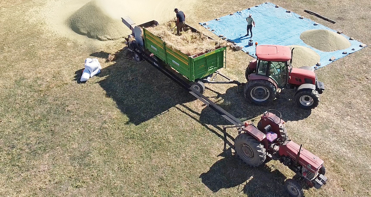 Yozgat'ın Mercimeği Satılamazken Devlet Hindistan'dan İthal Ediyor