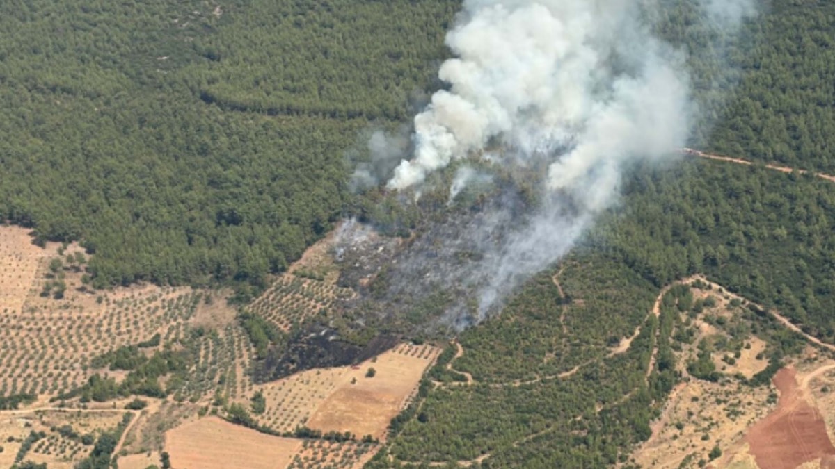 Muğla'da orman yangın! Müdahale sürüyor