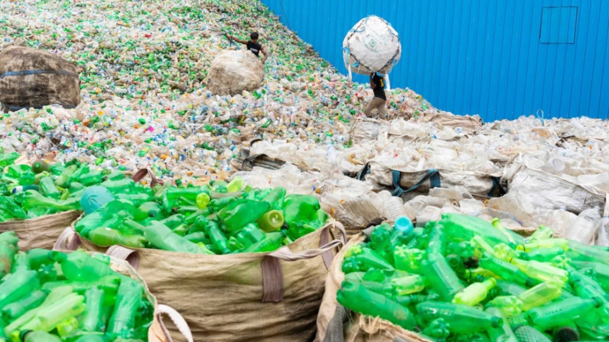 Bir gece ansızın plastik çöplerinizi alabiliriz!