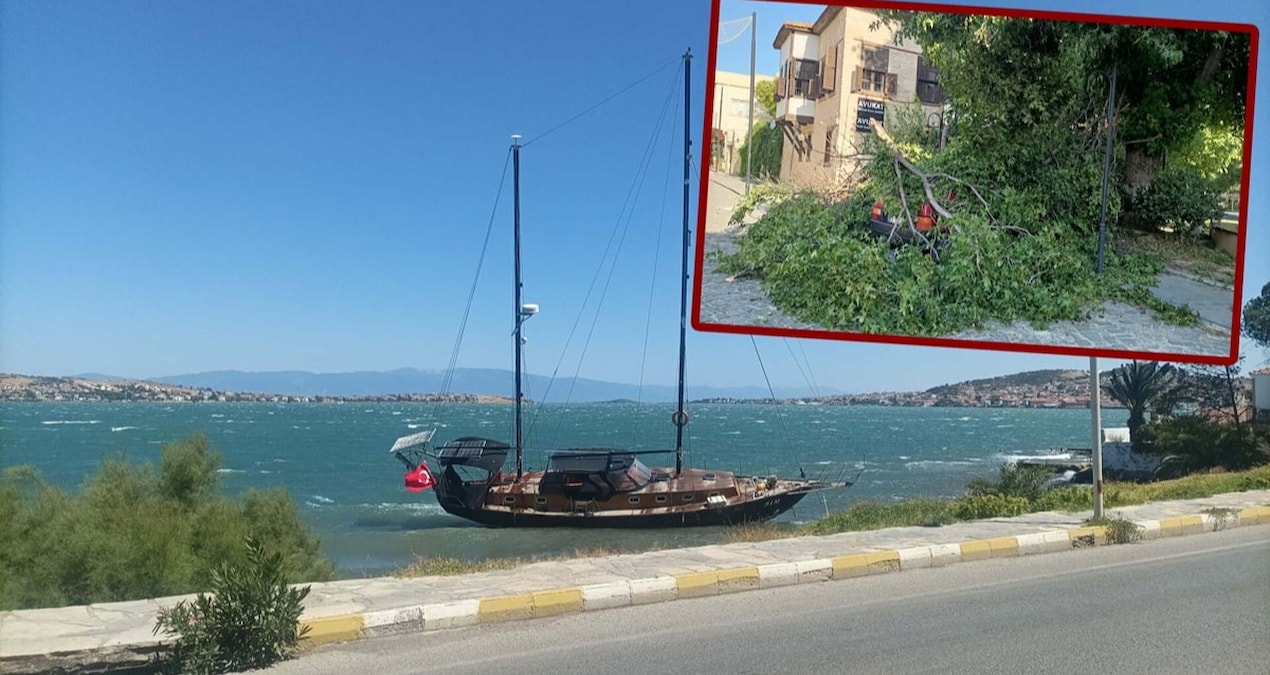 Ağaçları kökünden söktü, çatıları uçurdu, tekneleri kıyıya attı