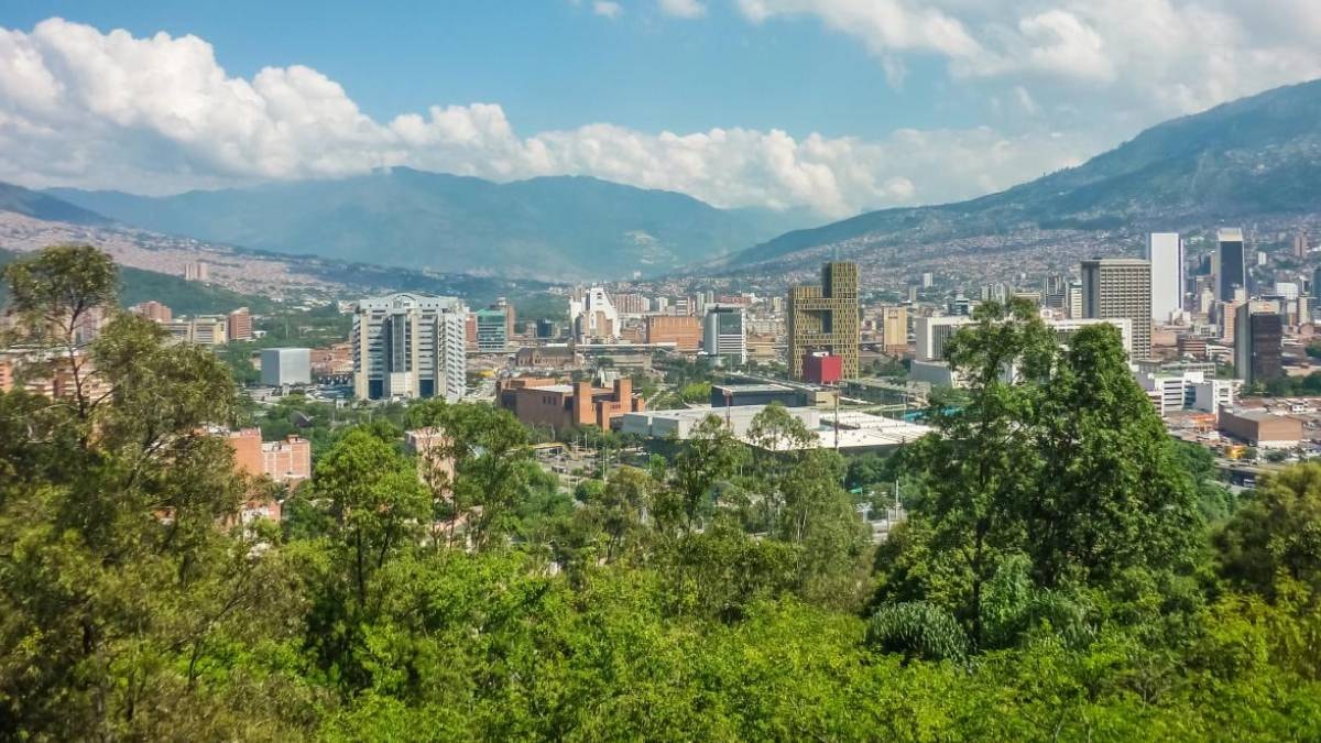 880 bin ağacı birden diktiler: Şehir felaketten kurtuldu