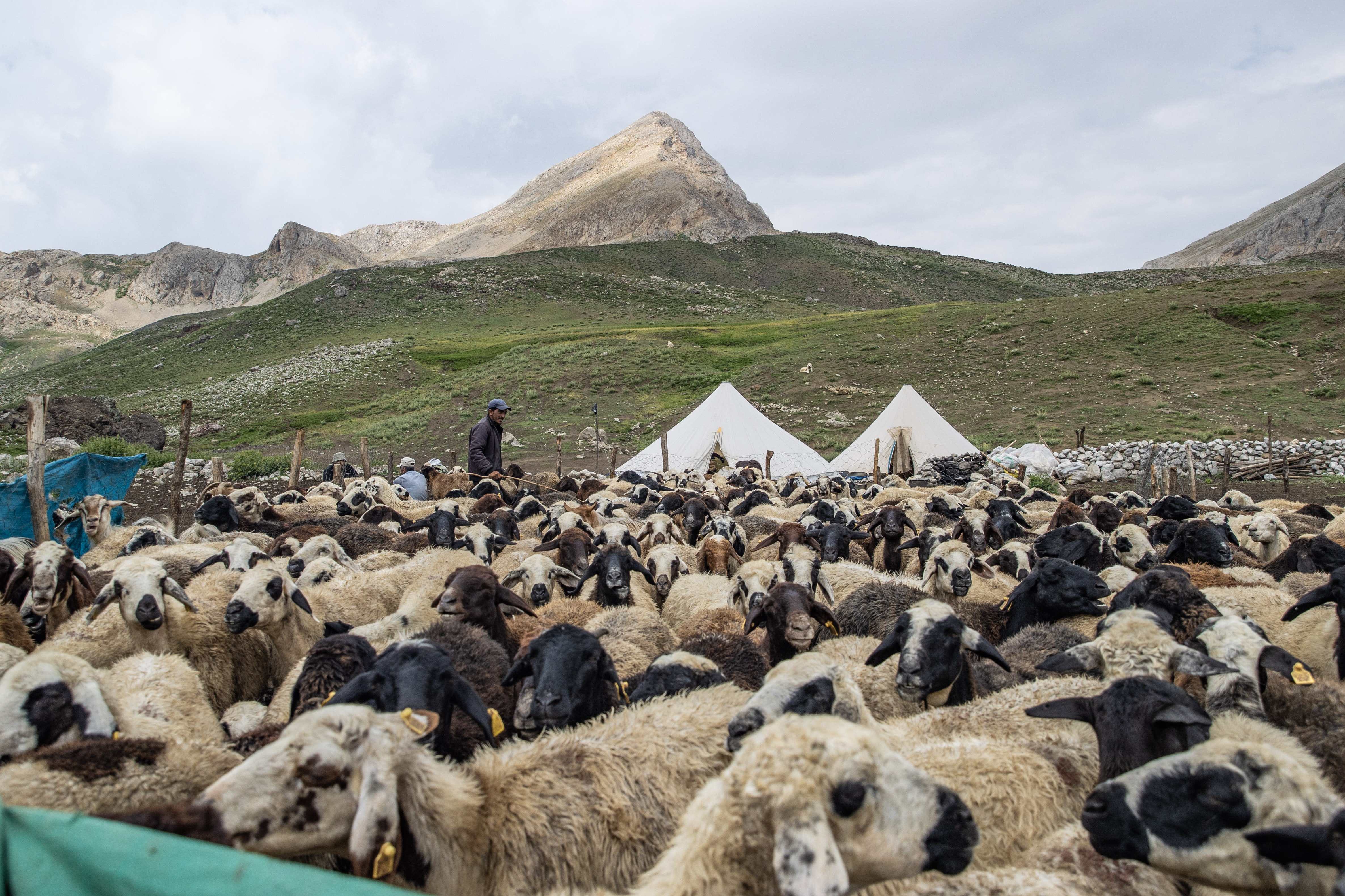 Tunceli'de köylüler gece boyunca nöbet tutuyor: İşte nedeni