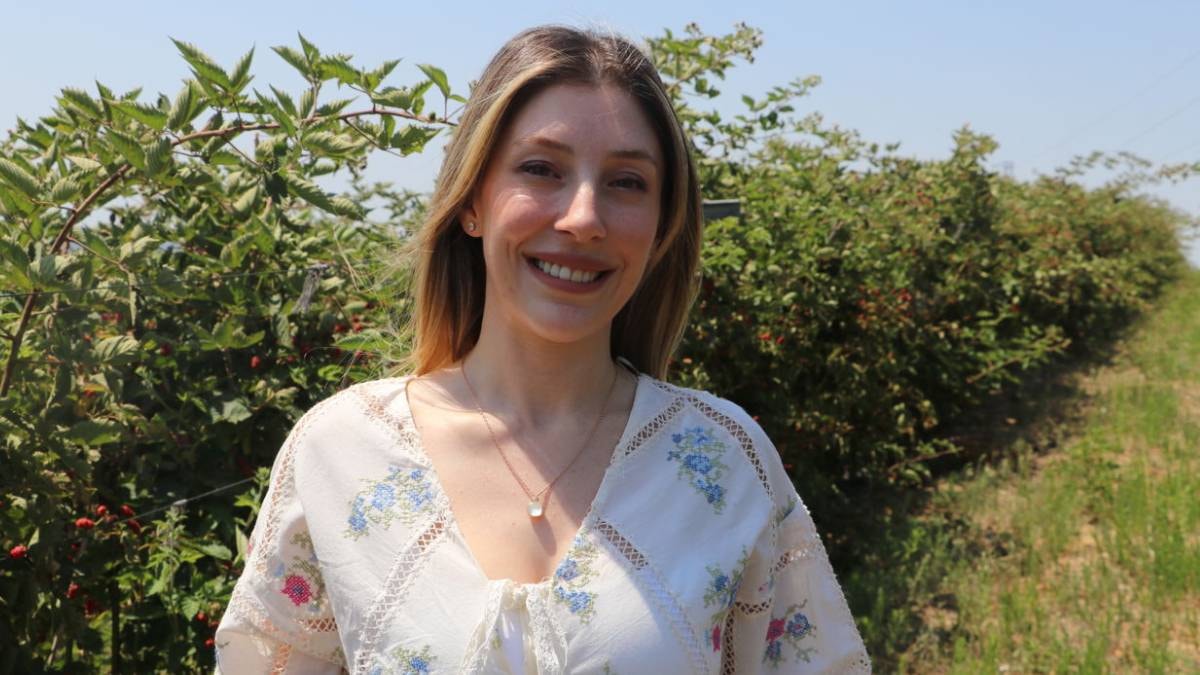 ABD’de gördü Trakya’ya dikti: Her hasatta deste deste para topluyor