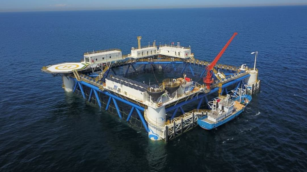 Bambudan yapılan güneş paneli tesisi denize bırakıldı