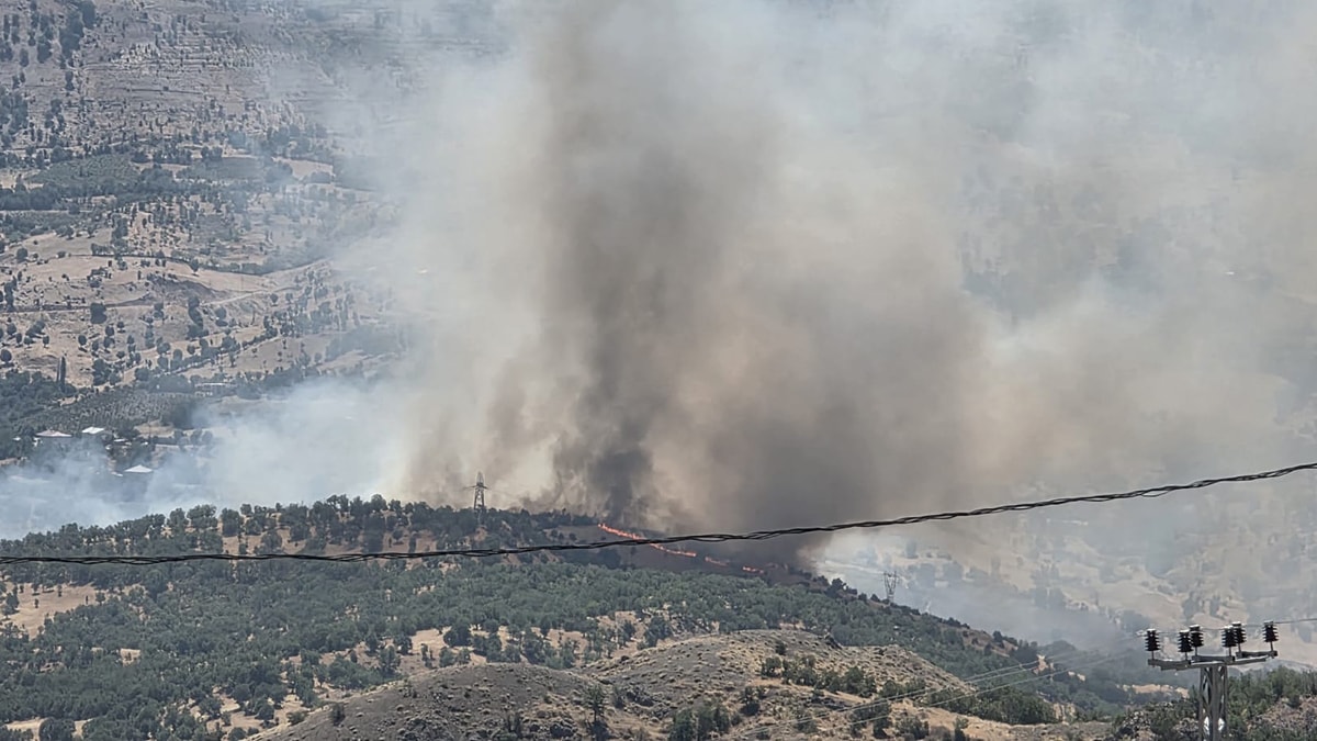 Adıyaman'da orman yangını