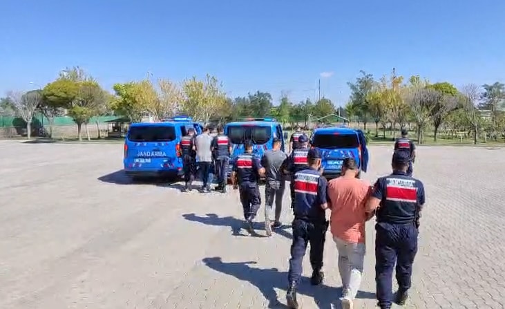 Köpek dövüştüren 3 kişiye para cezası