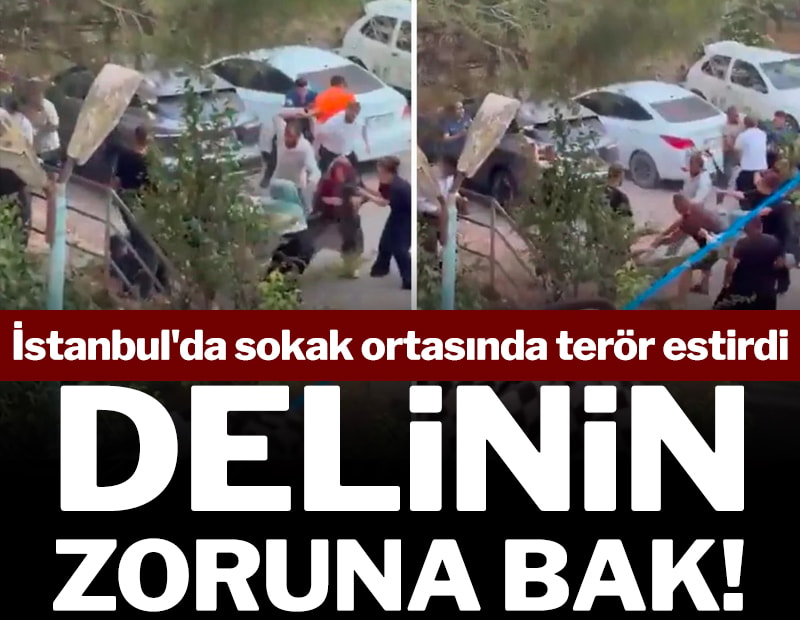 Köpeğini gezdiren küçük kıza söylediği o söz sonrası ortalık savaş alanına döndü