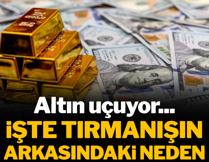 Altın uçuyor... İşte tırmanışın arkasındaki neden...