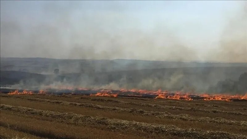 Tarladaki anızı doğal gübreye dönüştürmenin yolu