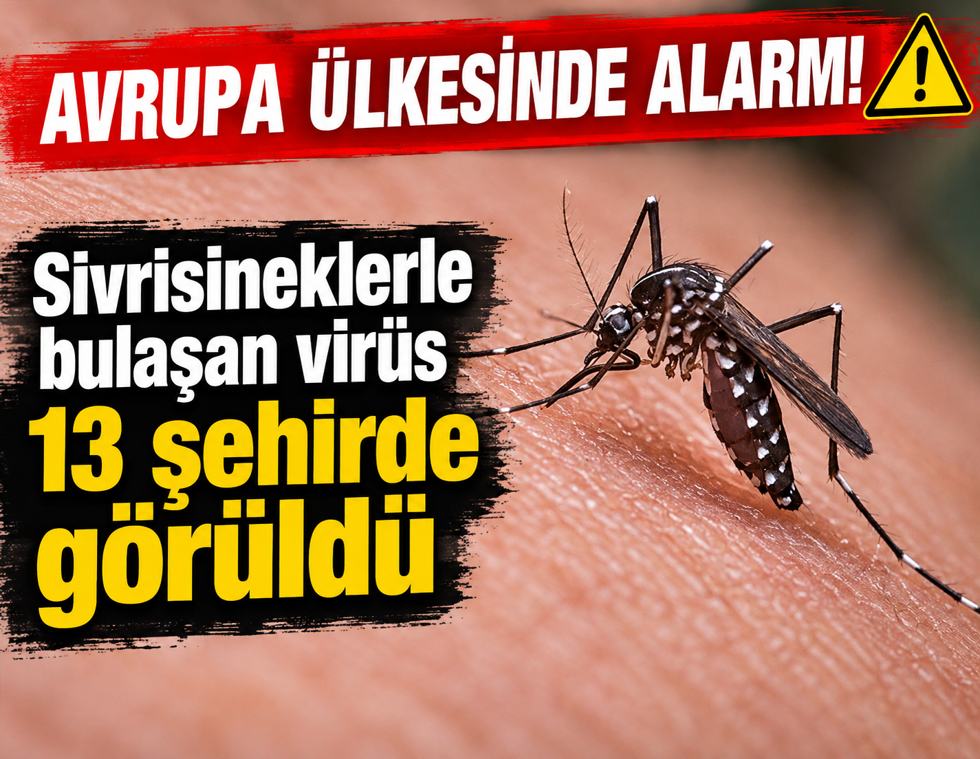 Avrupa ülkesinde alarm: Sivrisineklerle bulaşan virüs 13 şehirde görüldü
