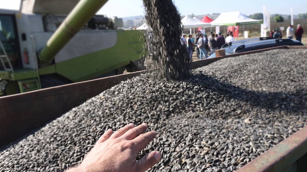 55 yıl önce okuduğu yerden köye getirdi: Her yıl rekor hasat yapıyor