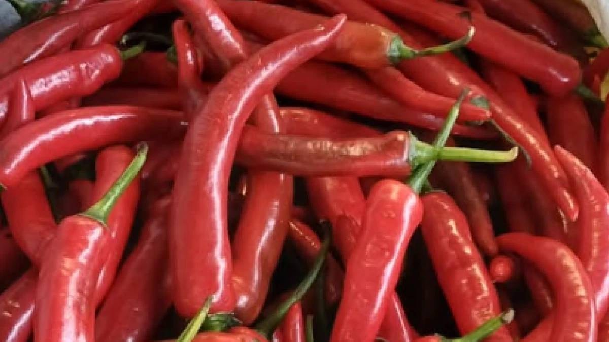Gönderilen biberlerin hepsi toplatıldı: Yasaklı madde çıktı
