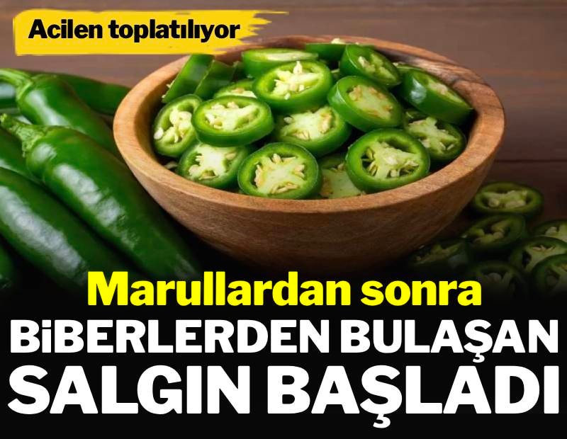Marullardan sonra biberlerden bulaşan salgın başladı: Acilen toplatılıyor