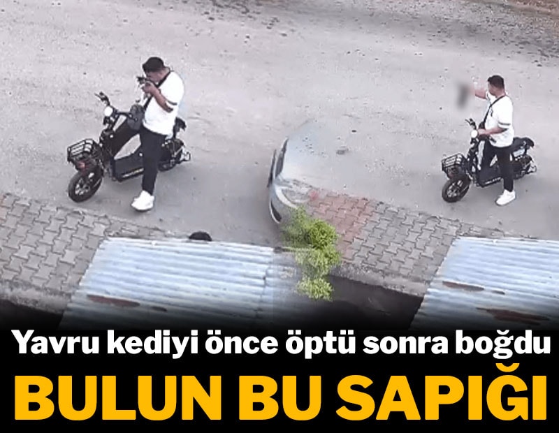 Bulun bu sapığı! Yavru kediyi önce öptü sonra boğdu