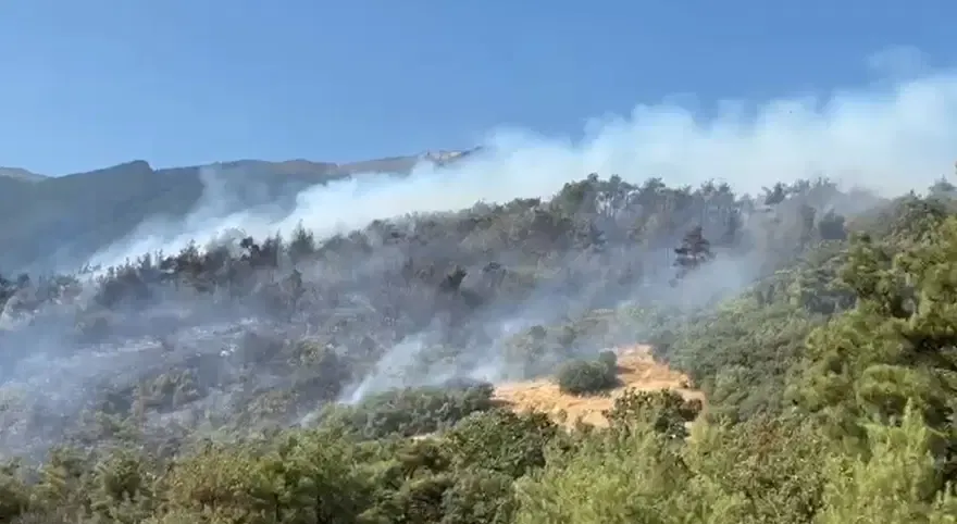 Bursa'da 3 farklı noktada orman yangını