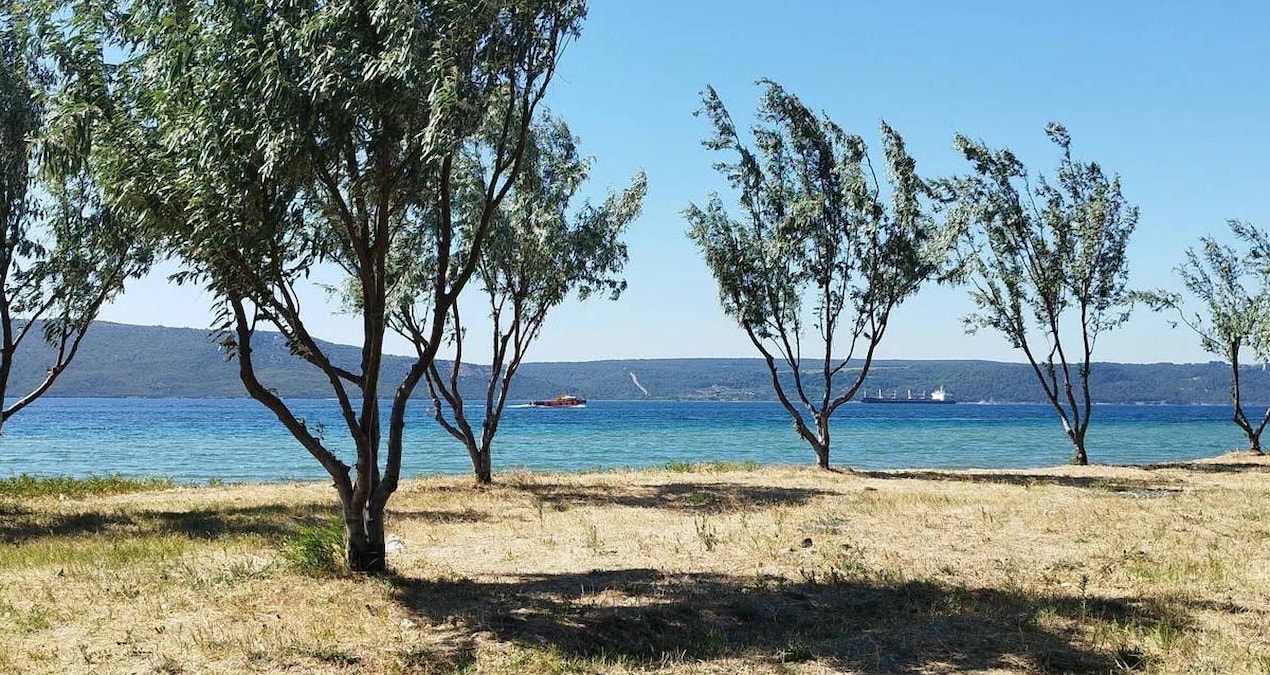 Çanakkale’de plajda mühimmat bulundu