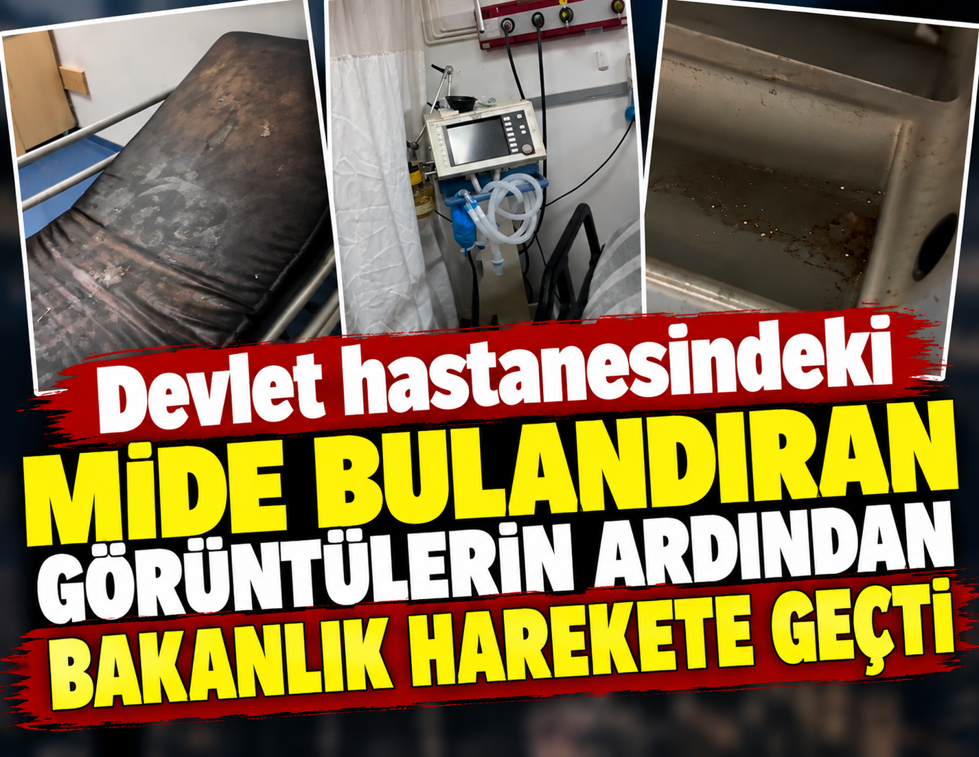 Sosyal medya ayağa kalkmıştı... Mide bulandıran görüntülerin ardından bakanlık harekete geçti