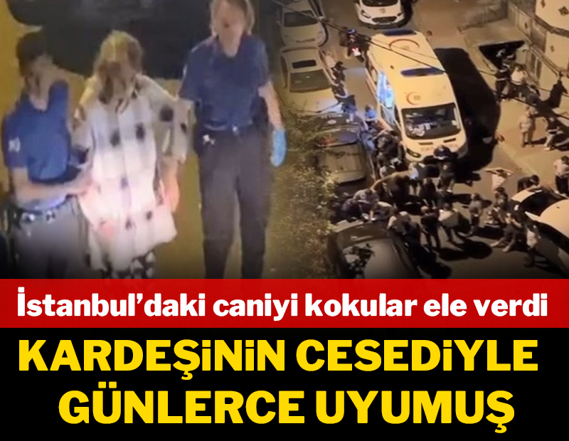İstanbul'daki caniyi kokular ele verdi: Kardeşinin cesediyle günlerce uyumuş!