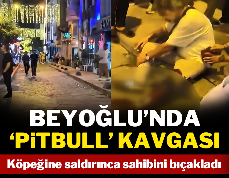 Beyoğlu'nda Pitbull kavgası: Köpeğine saldırınca, sahibini bıçakladı